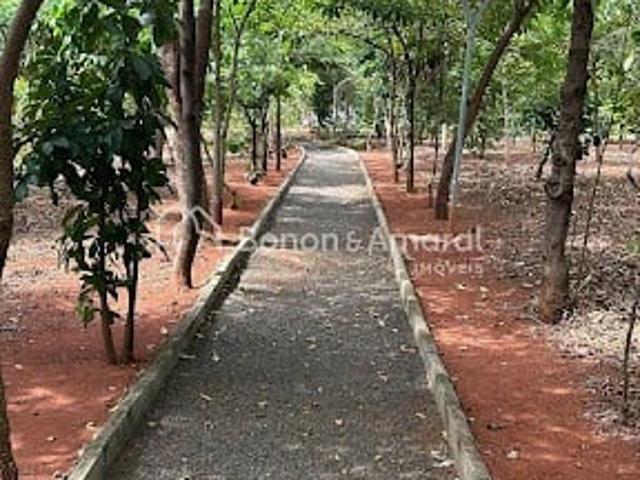 Terreno / Lote para Venda em Paulínia/SP Vila Monte Alegre