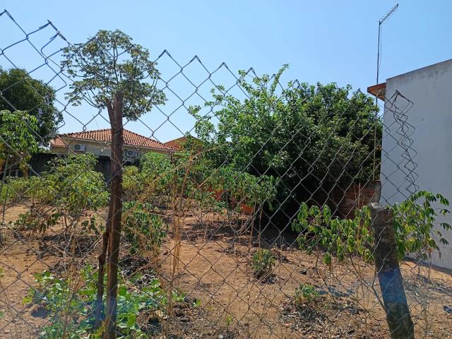 Terreno / Lote para Venda em Paulicéia/SP Residencial Portão de Ferro