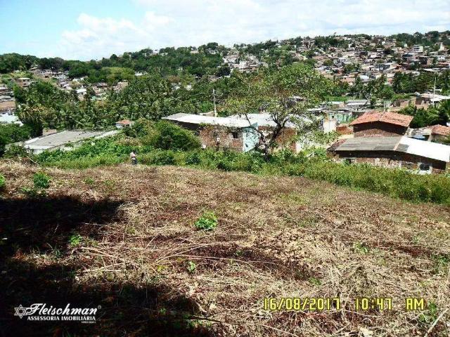 Terreno / Lote para Venda em Paulista/PE Vila Torres Galvão