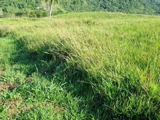 Terreno / Lote para Venda em Paulo Lopes/SC Morro Agudo