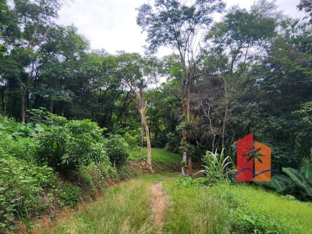 Terreno / Lote para Venda em Paulo Lopes/SC Morro Agudo