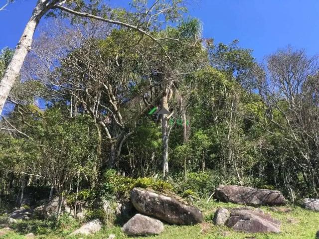 Terreno / Lote para Venda em Paulo Lopes/SC Centro