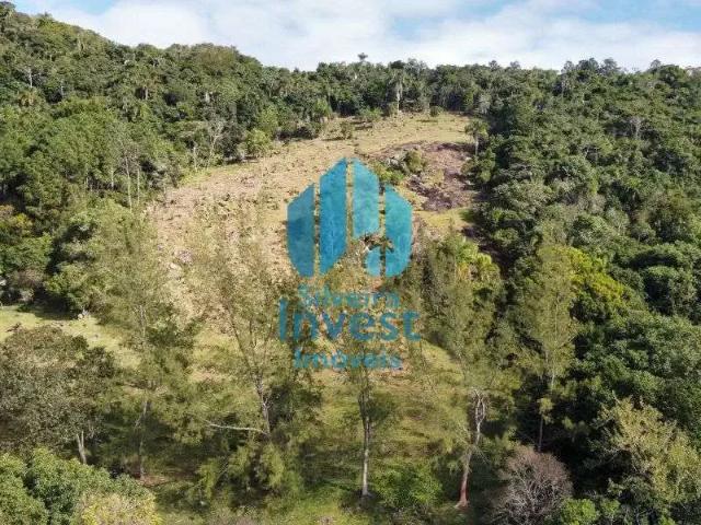 Terreno / Lote para Venda em Paulo Lopes/SC Gamboinha