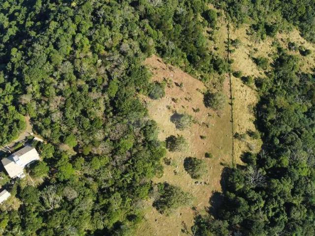 Terreno / Lote para Venda em Paulo Lopes/SC Riberão