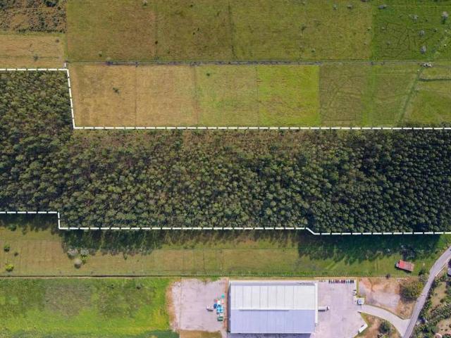 Terreno / Lote para Venda em Paulo Lopes/SC Riberão