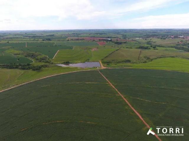 Terreno / Lote para Venda em Penápolis/SP Jardim Del Rey
