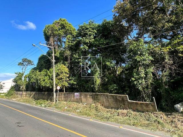 Terreno / Lote para Venda em Penha/SC Armação