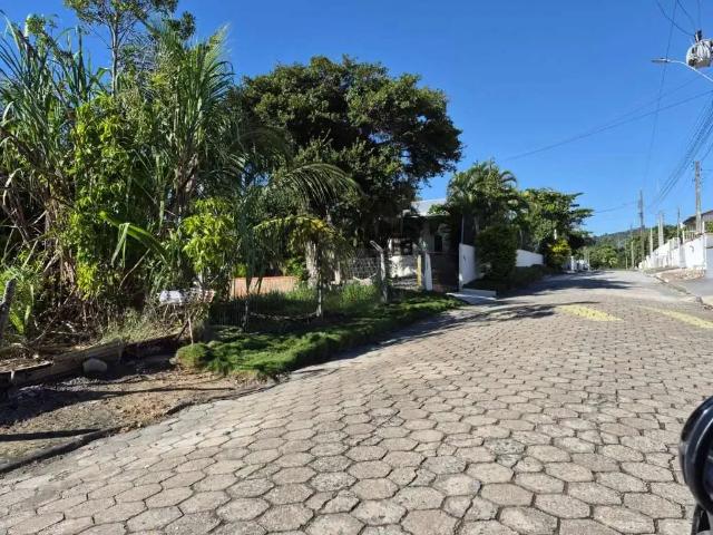 Terreno / Lote para Venda em Penha/SC Armação