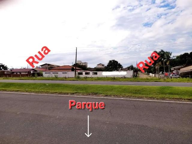 Terreno / Lote para Venda em Penha/SC Armação