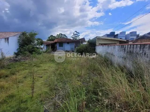 Terreno / Lote para Venda em Penha/SC Centro