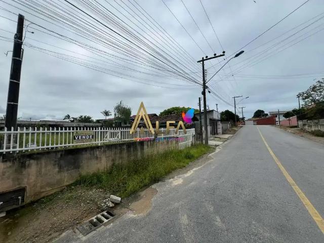 Terreno / Lote para Venda em Penha/SC Centro
