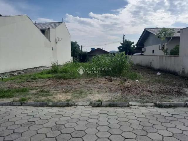 Terreno / Lote para Venda em Penha/SC Centro