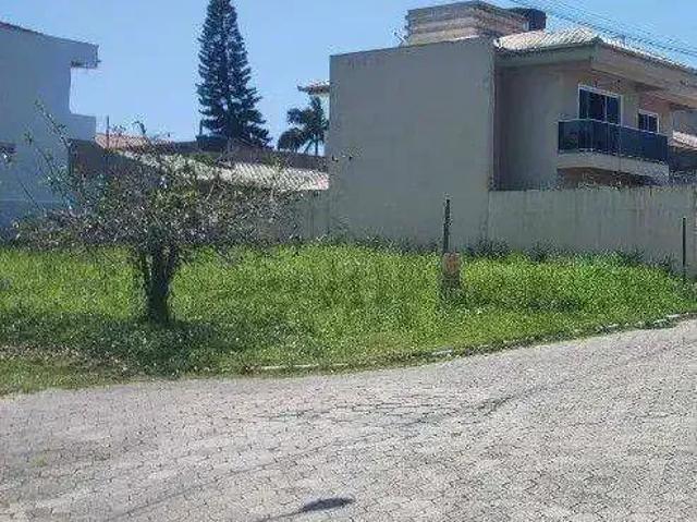 Terreno / Lote para Venda em Penha/SC Centro