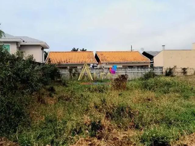 Terreno / Lote para Venda em Penha/SC Gravatá