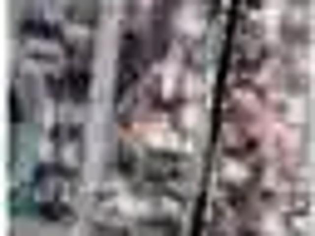 Terreno / Lote para Venda em Penha/SC Praia Alegre