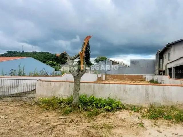 Terreno / Lote para Venda em Penha/SC Praia Alegre