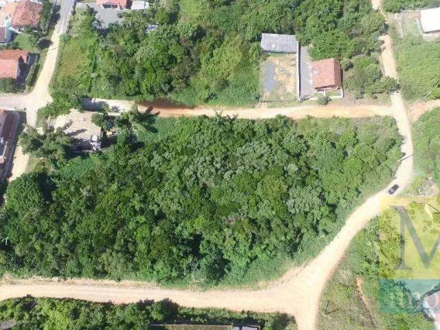 Terreno / Lote para Venda em Penha/SC Praia Grande