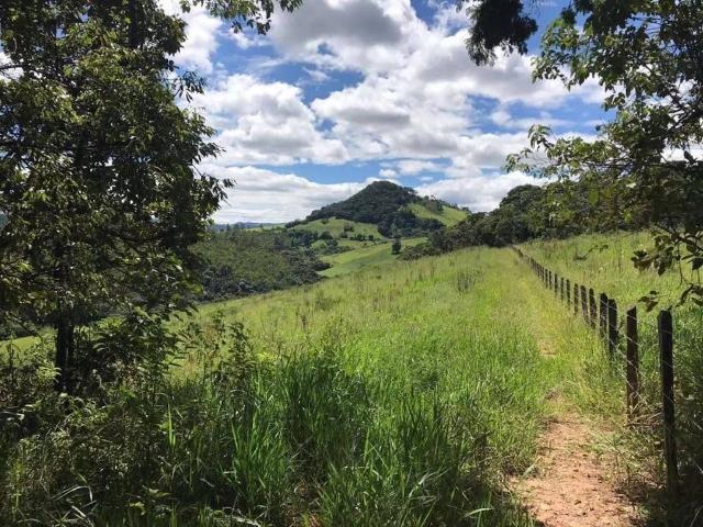 Terreno / Lote para Venda em Pedra Bela/SP Pitangueiras