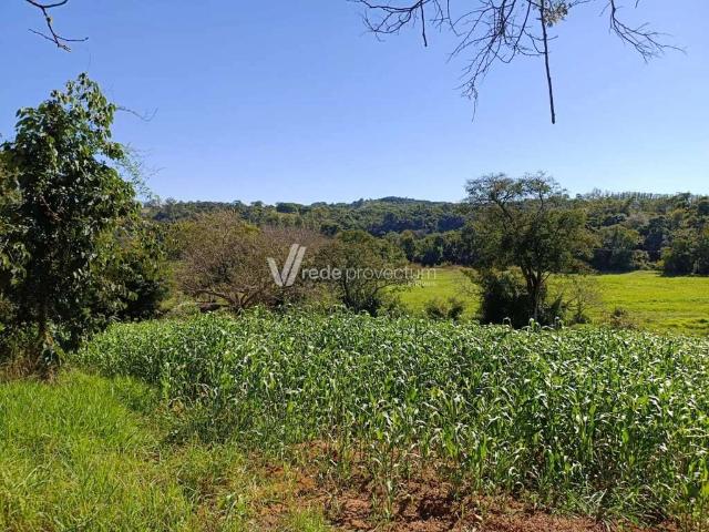 Terreno / Lote para Venda em Pedreira/SP Área Rural de Pedreira