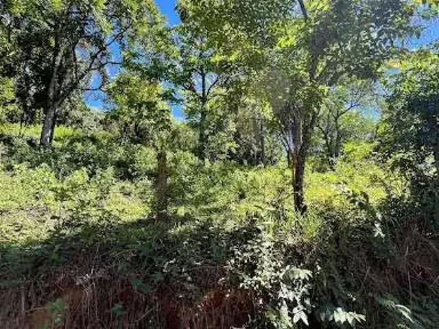 Terreno / Lote para Venda em Pedreira/SP Centro