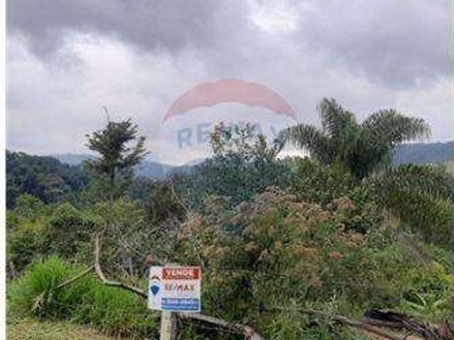 Terreno / Lote para Venda em Pedreira/SP Jardim Santa Edwirges