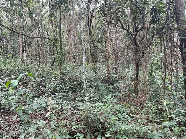 Terreno / Lote para Venda em Pedro Leopoldo/MG Jardins de Luxemburgo