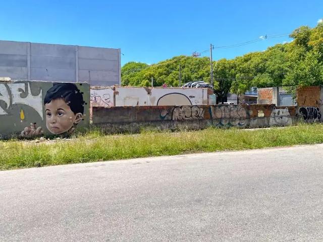 Terreno / Lote para Venda em Pelotas/RS Areal