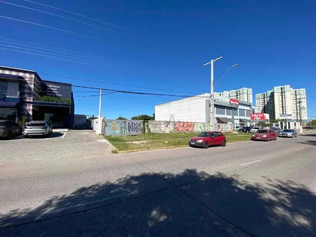 Terreno / Lote para Venda em Pelotas/RS Areal