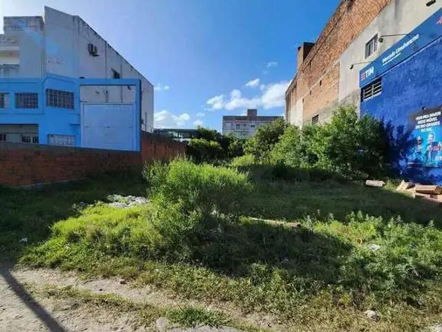 Terreno / Lote para Venda em Pelotas/RS Areal