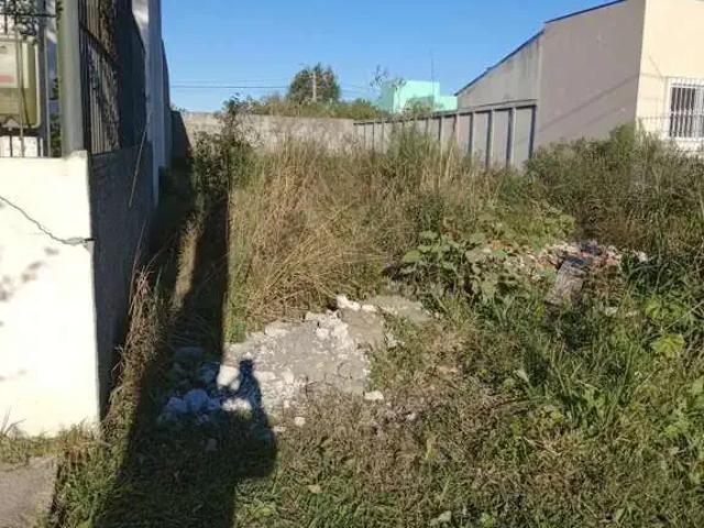 Terreno / Lote para Venda em Pelotas/RS Areal