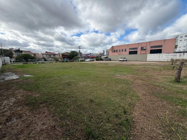 Terreno / Lote para Venda em Pelotas/RS Areal