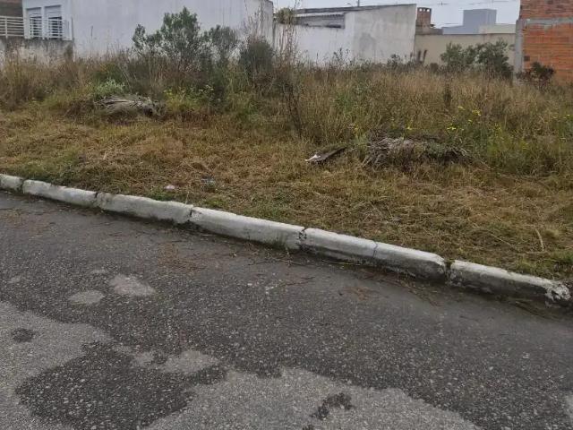 Terreno / Lote para Venda em Pelotas/RS Areal