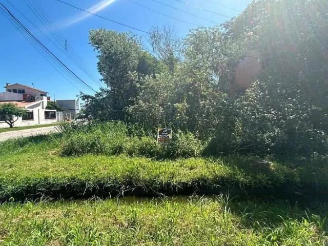 Terreno / Lote para Venda em Pelotas/RS Laranjal