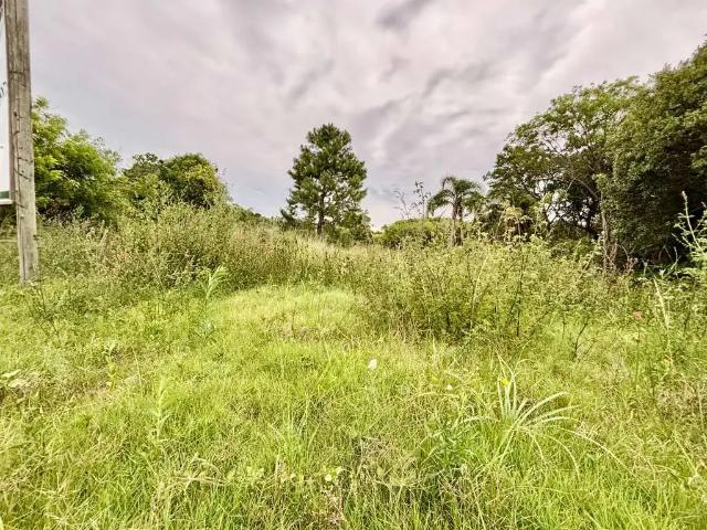 Terreno / Lote para Venda em Pelotas/RS Laranjal