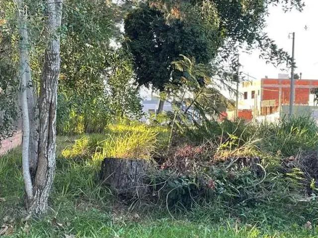 Terreno / Lote para Venda em Pelotas/RS Laranjal
