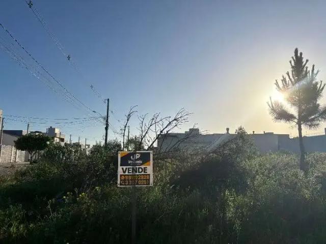 Terreno / Lote para Venda em Pelotas/RS Laranjal