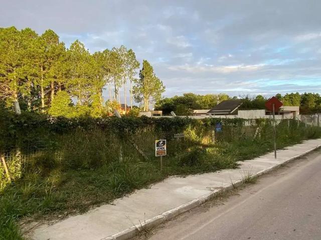 Terreno / Lote para Venda em Pelotas/RS Laranjal