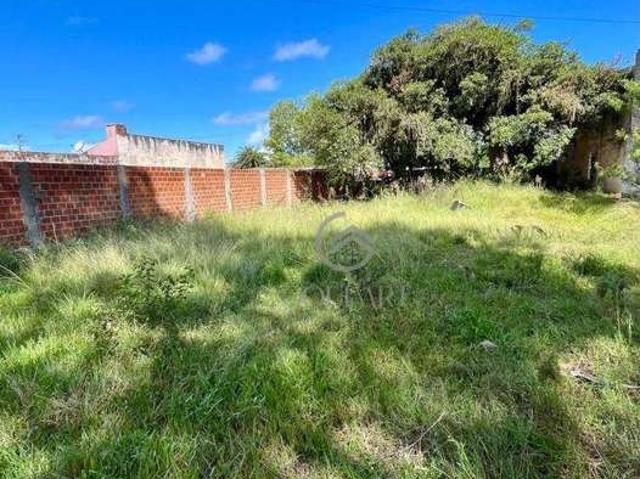 Terreno / Lote para Venda em Pelotas/RS Laranjal