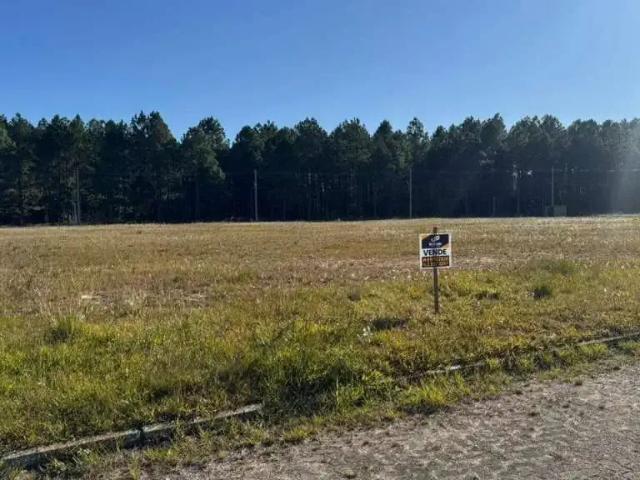 Terreno / Lote para Venda em Pelotas/RS Laranjal