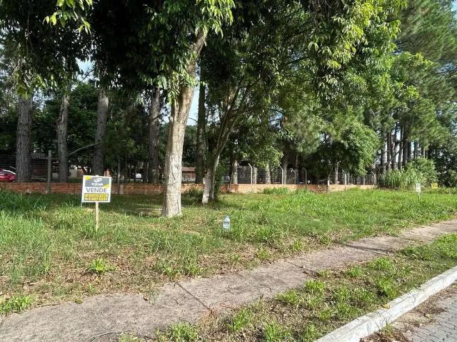 Terreno / Lote para Venda em Pelotas/RS Las Acacias