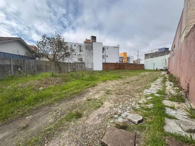 Terreno / Lote para Venda em Pelotas/RS São Gonçalo