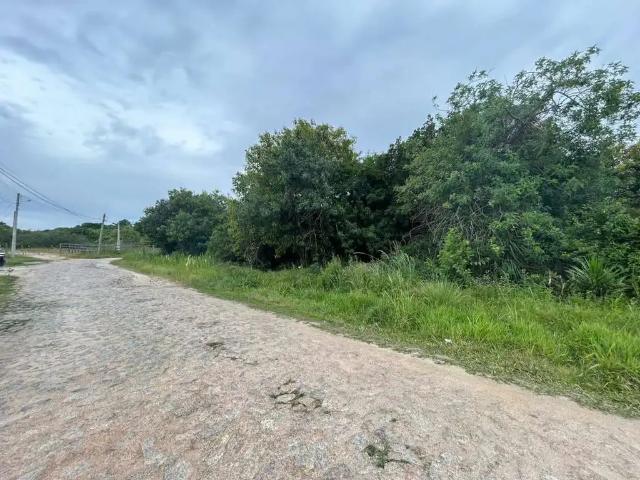 Terreno / Lote para Venda em Pelotas/RS Três Vendas
