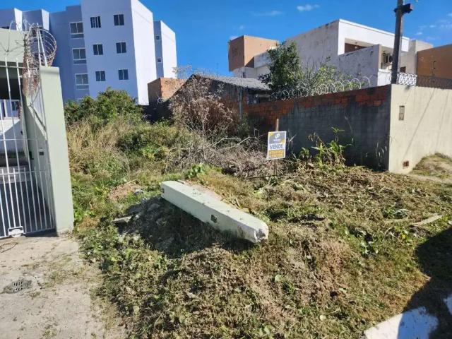 Terreno / Lote para Venda em Pelotas/RS Três Vendas