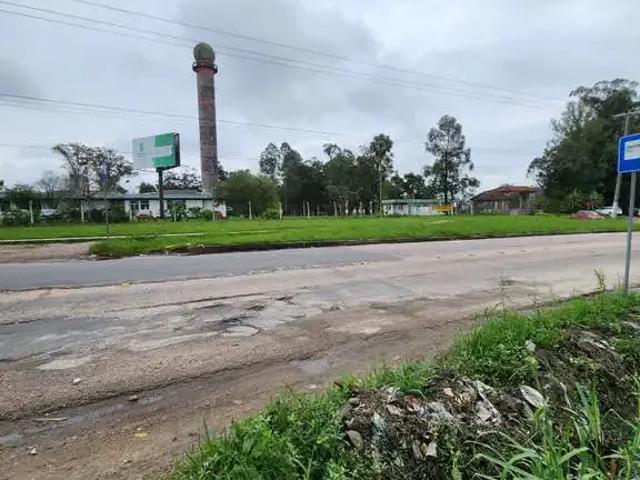 Terreno / Lote para Venda em Pelotas/RS Três Vendas