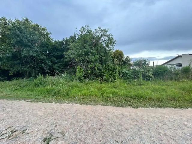 Terreno / Lote para Venda em Pelotas/RS Três Vendas