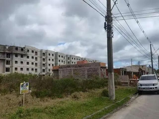 Terreno / Lote para Venda em Pelotas/RS Três Vendas