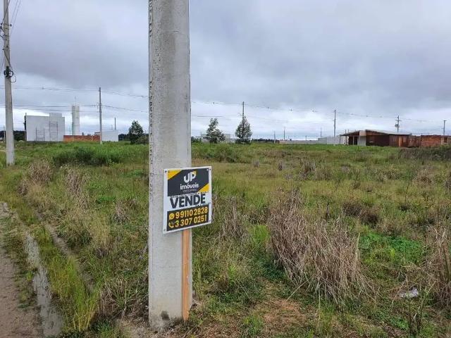 Terreno / Lote para Venda em Pelotas/RS Três Vendas