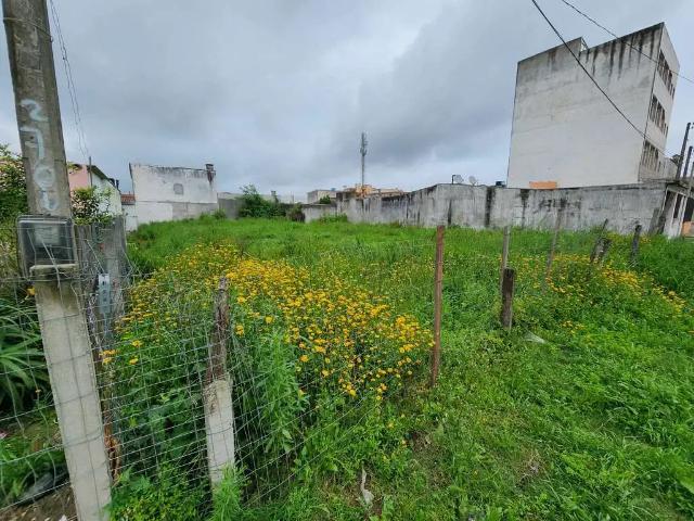 Terreno / Lote para Venda em Pelotas/RS Três Vendas