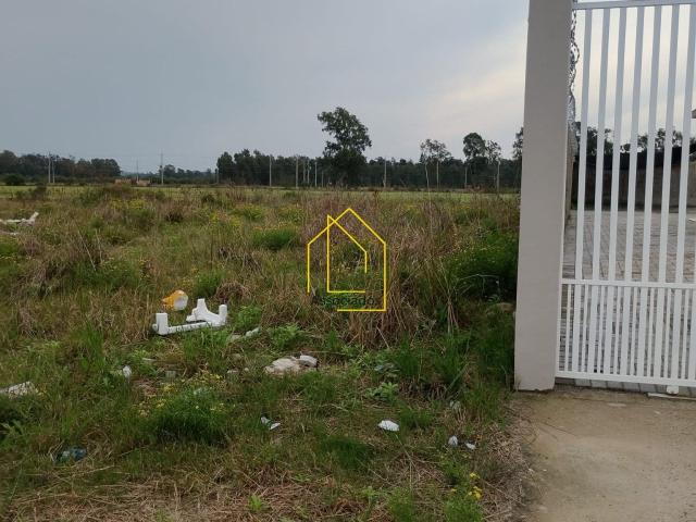 Terreno / Lote para Venda em Pelotas/RS Três Vendas