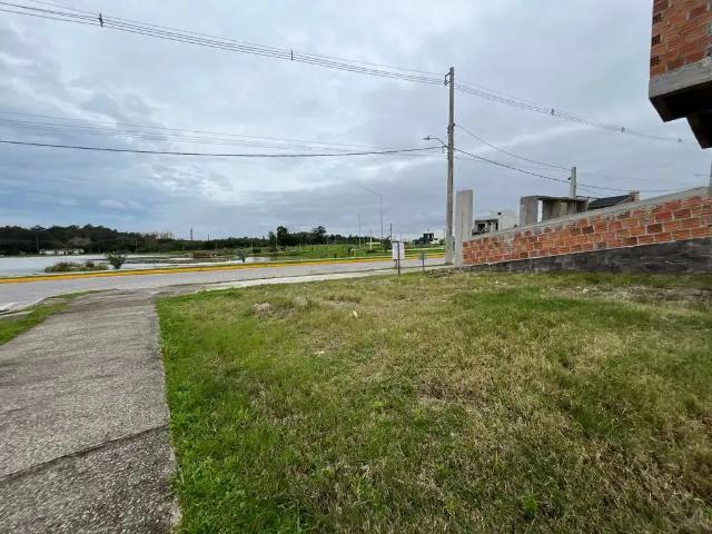 Terreno / Lote para Venda em Pelotas/RS Três Vendas